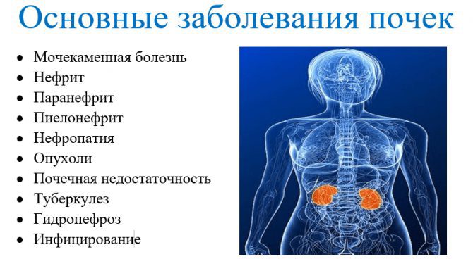 Как лечить воспаление почек