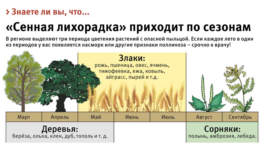 Лечение поллиноза у взрослых