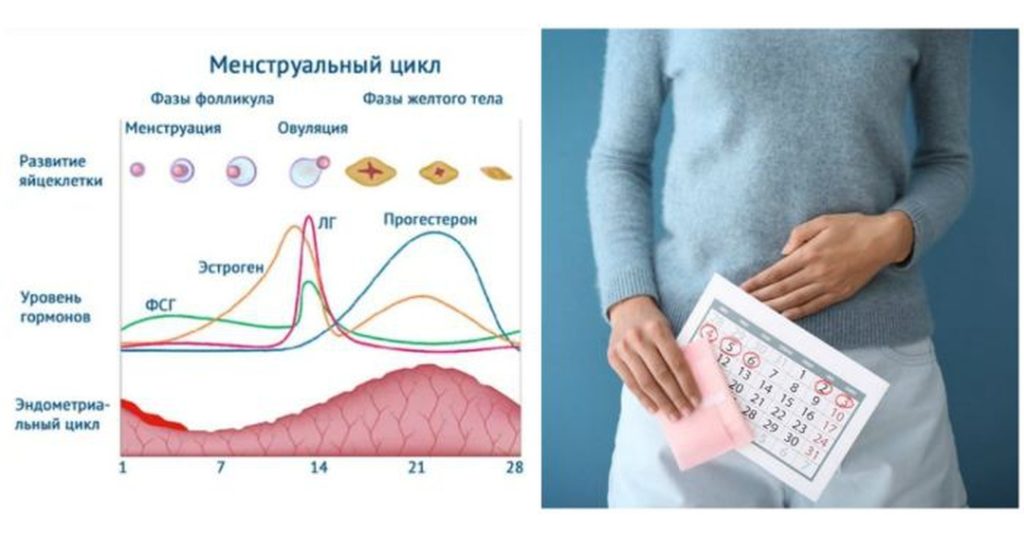 Нормальные месячные