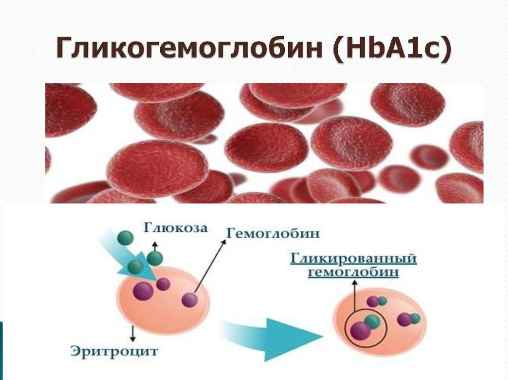 Гликированный гемоглобин цена